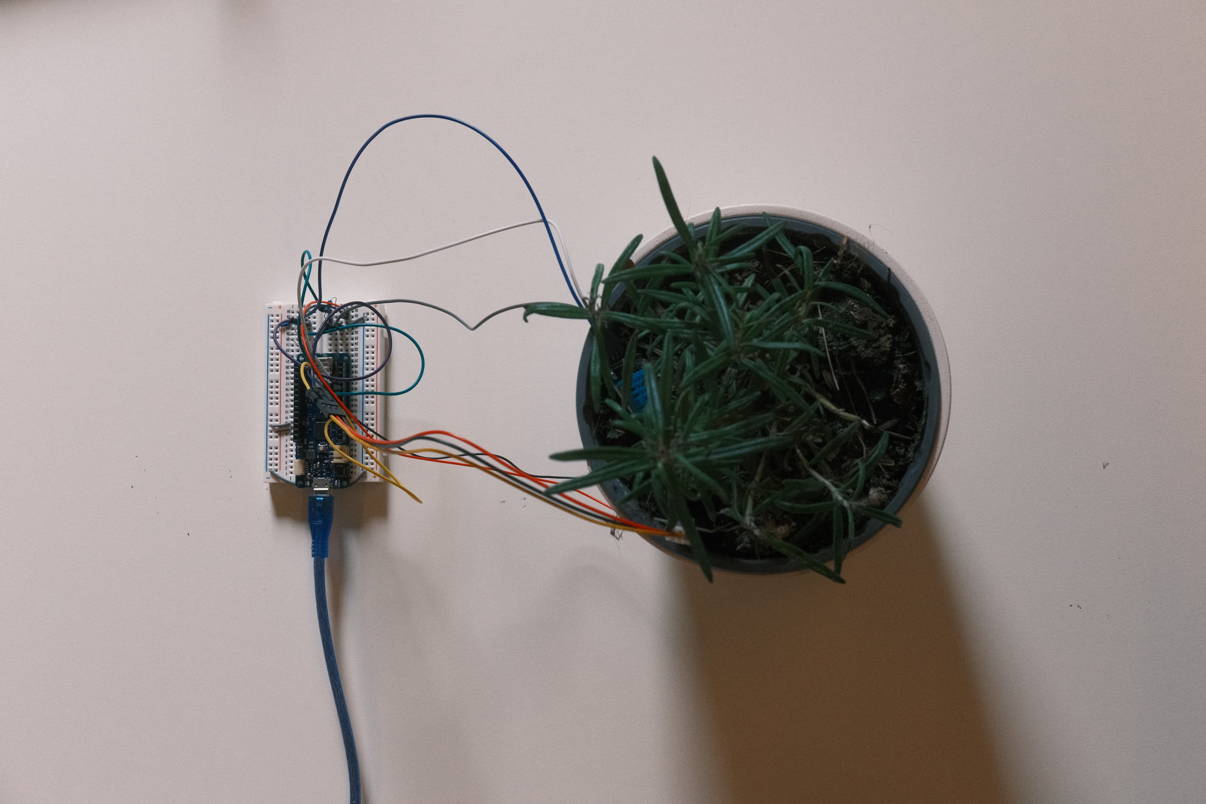 knob process image